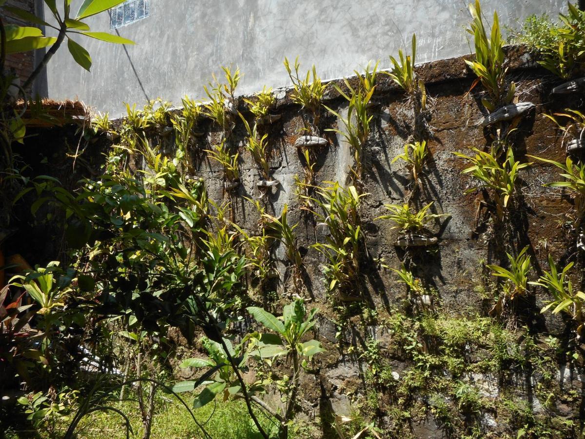 Milla Homestay Sidemen  Exteriér fotografie
