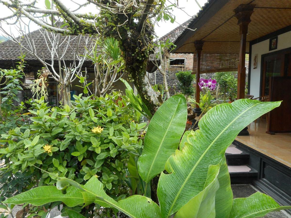 Milla Homestay Sidemen  Exteriér fotografie